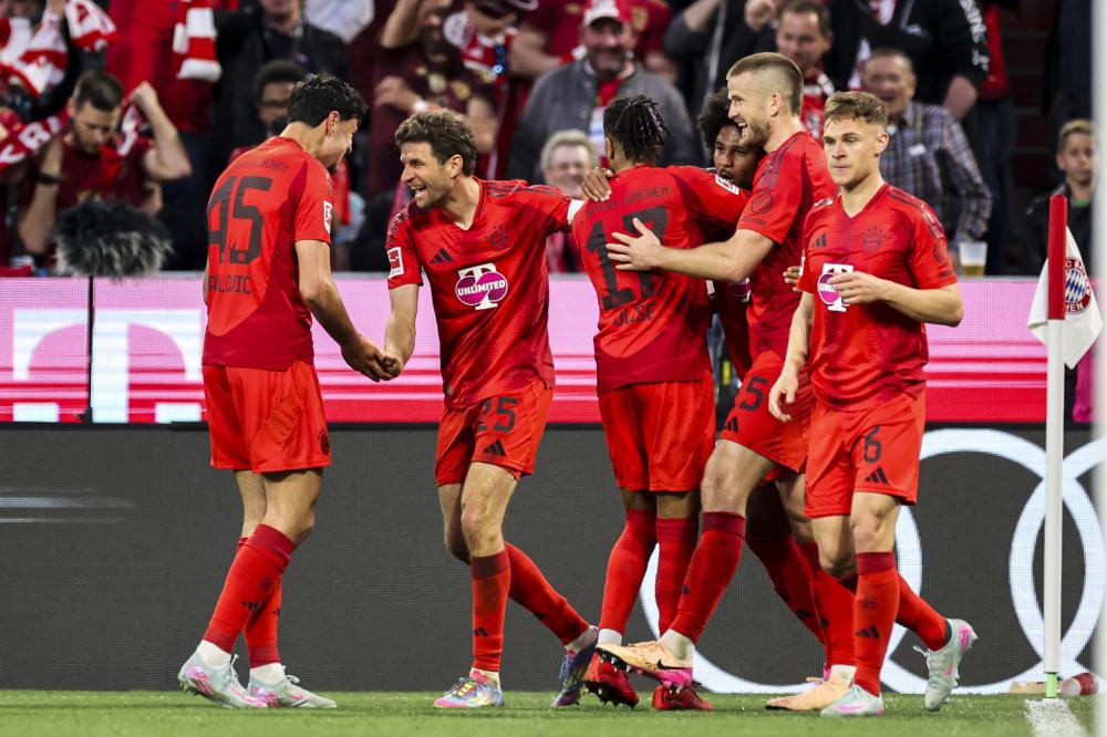 森林狼正在 森林狼正在